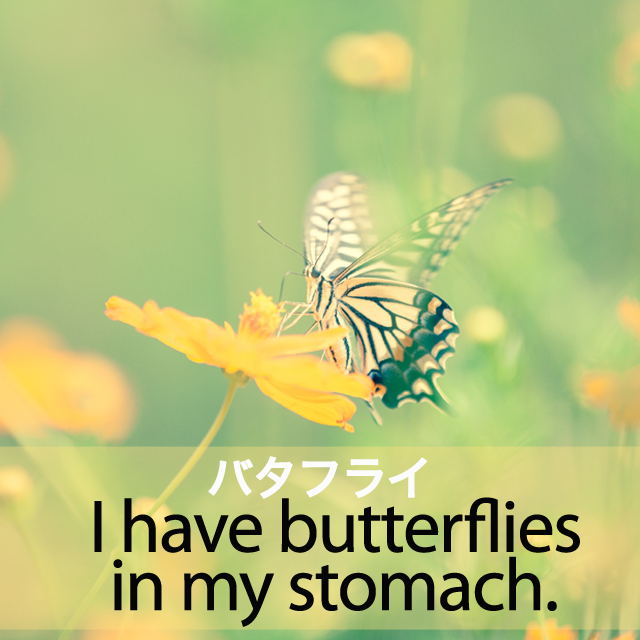 ｢バタフライ｣から学ぶ→ I have butterflies in my stomach.