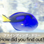 「ファインディング・ドリー」から学ぶ→ How did you find out?