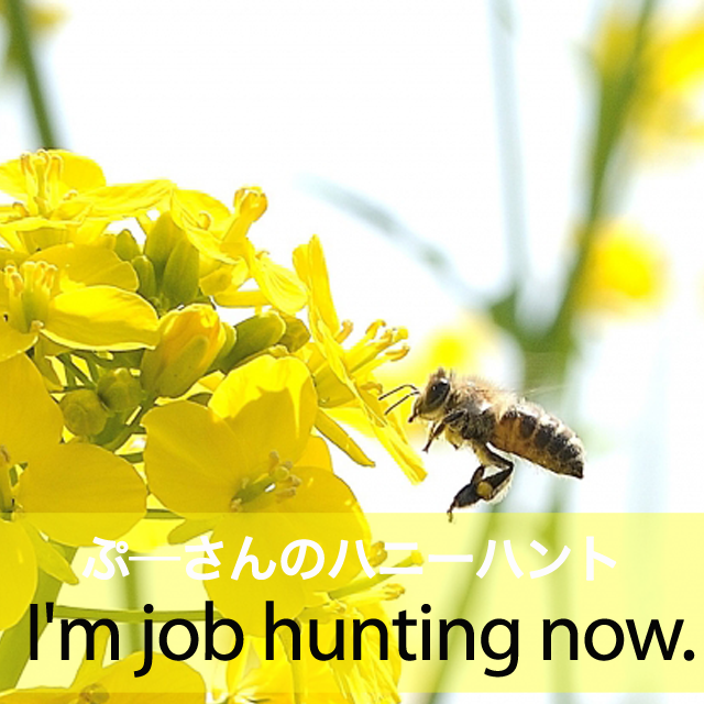 ｢ぷ―さんのハニーハント｣から学ぶ→ I’m job hunting now.