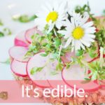 「エディブルフラワー」を知ってれば…ゼッタイ話せる英会話→  It’s edible.