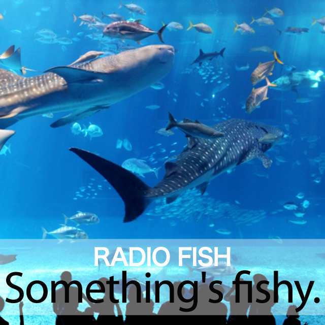 「RADIO FISH」から学ぶ→ Something’s fishy.